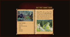 Desktop Screenshot of camplayman.com